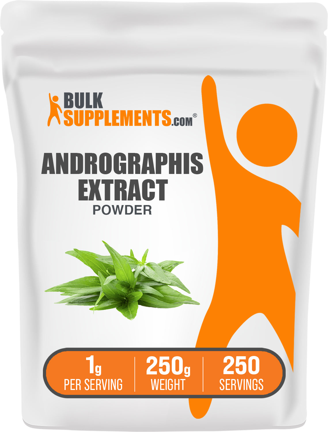 BulkSupplements Andrographis Extract Powder Bag