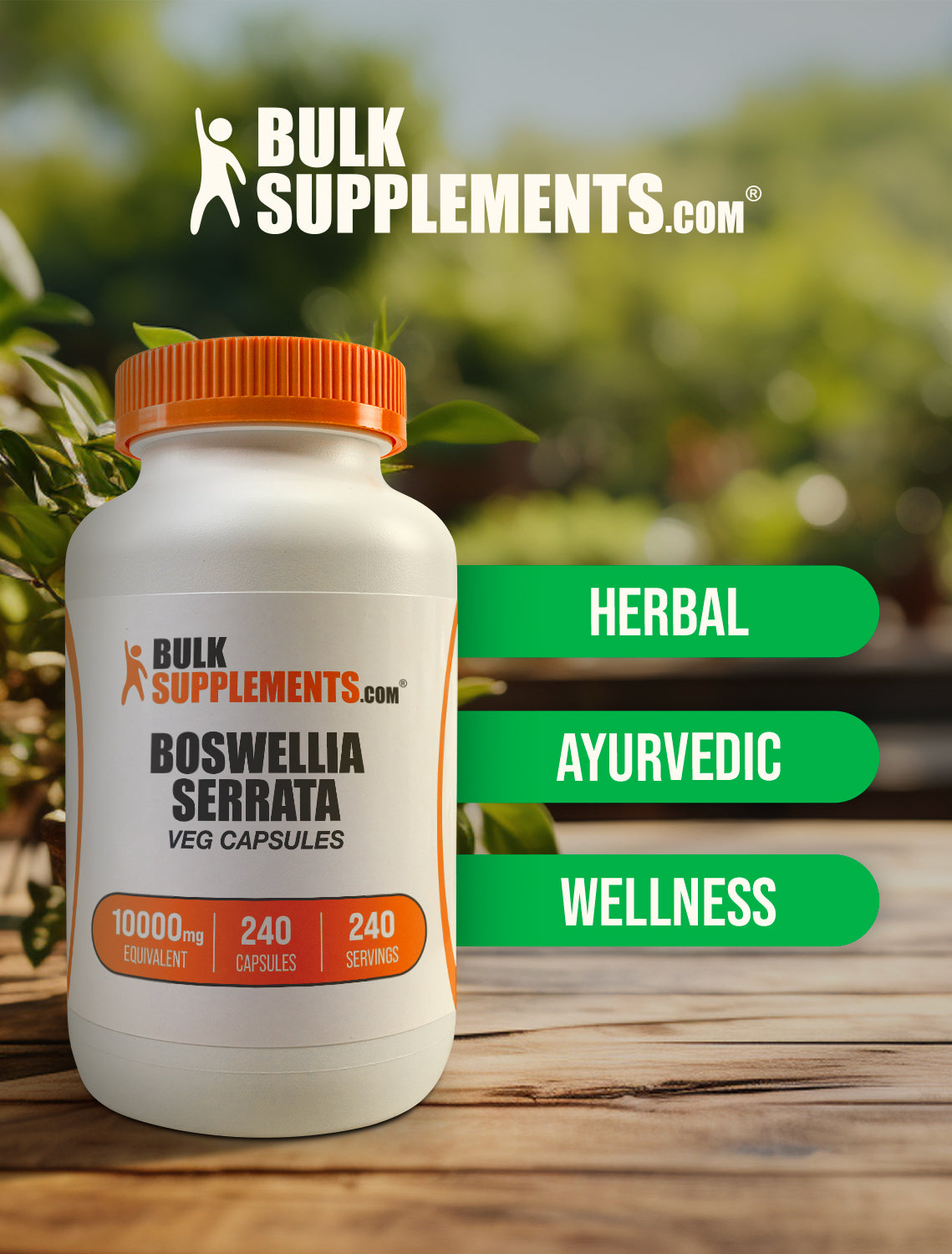 Boswellia Serrata Capsules 240 ct Capsules keyword image