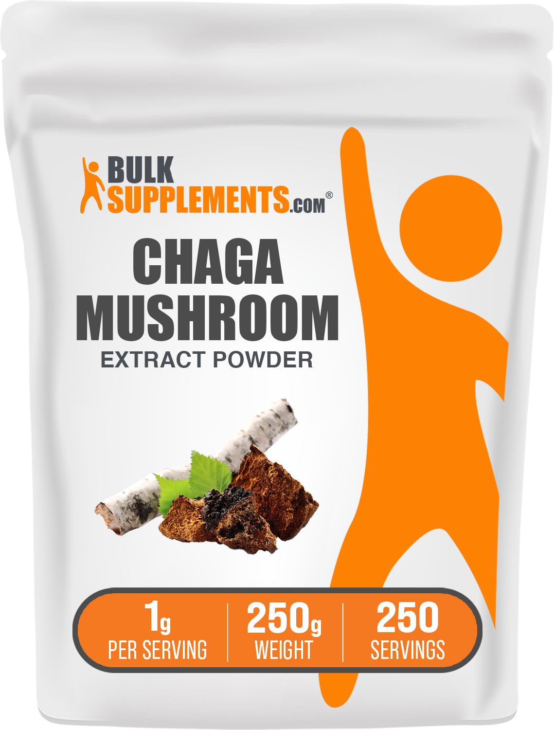 BulkSupplements Chaga Mushroom Extract Powder Bag