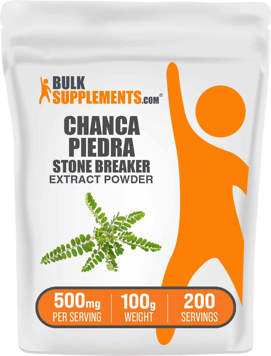 BulkSupplements.com Chanca Piedra Extract Powder 100g bag image