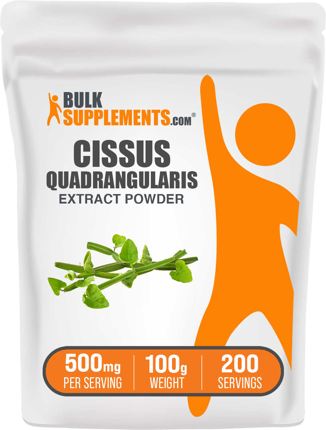 BulkSupplements.com Cissus Quadrangularis Extract Powder 100g bag image