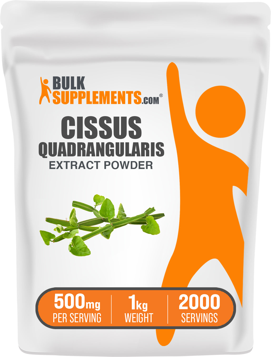 BulkSupplements.com Cissus Quadrangularis Extract Powder 1kg bag image