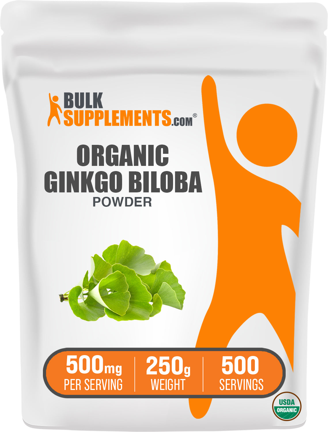 BulkSupplements.com Organic Ginkgo Biloba Powder 250g bag image