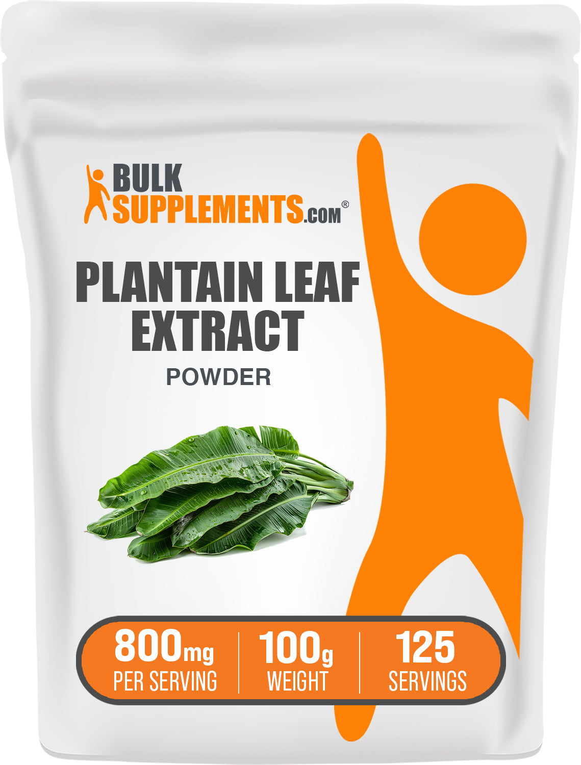 Plantain Leaf Extract powder 100g bag image