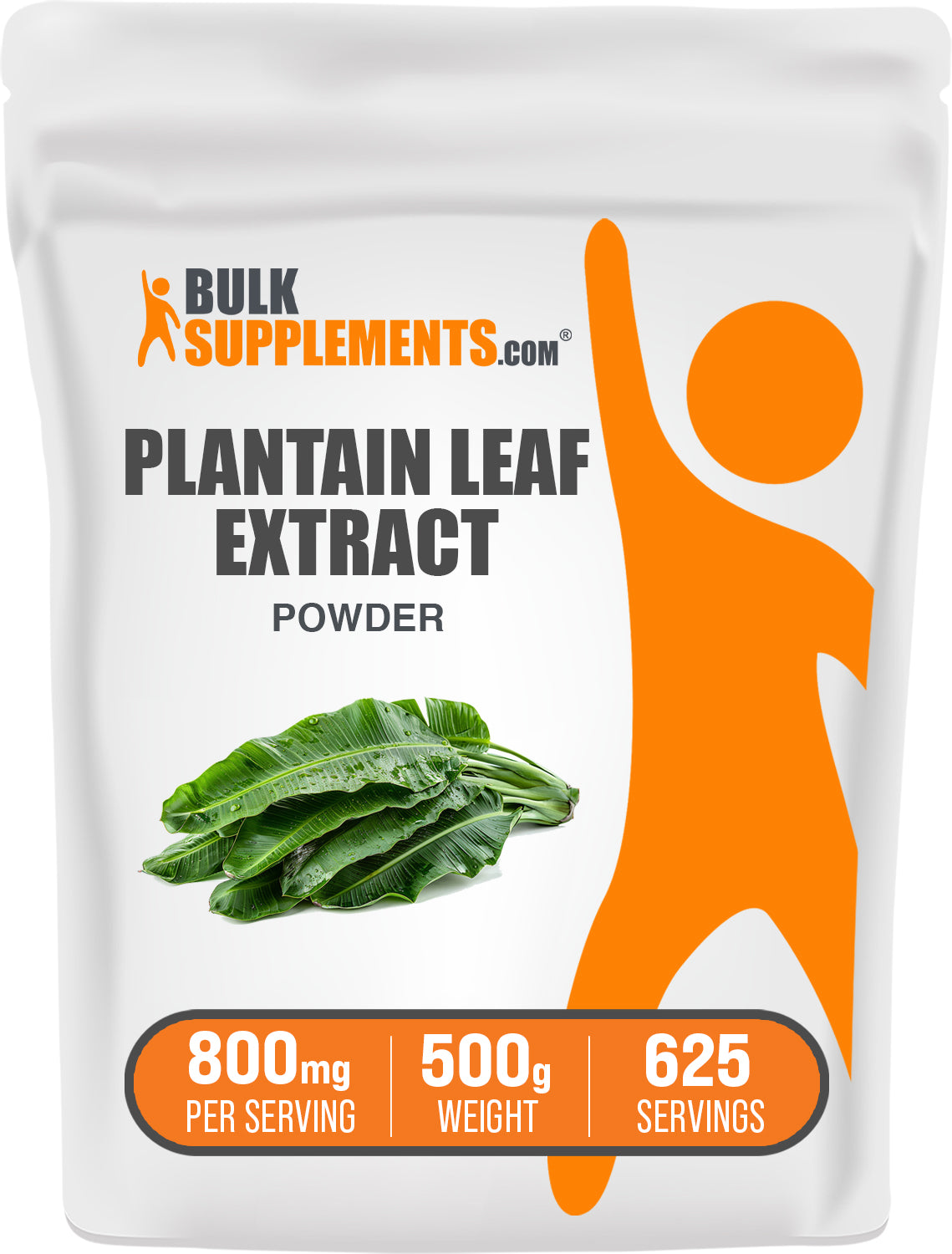 Plantain Leaf Extract powder 500g bag image