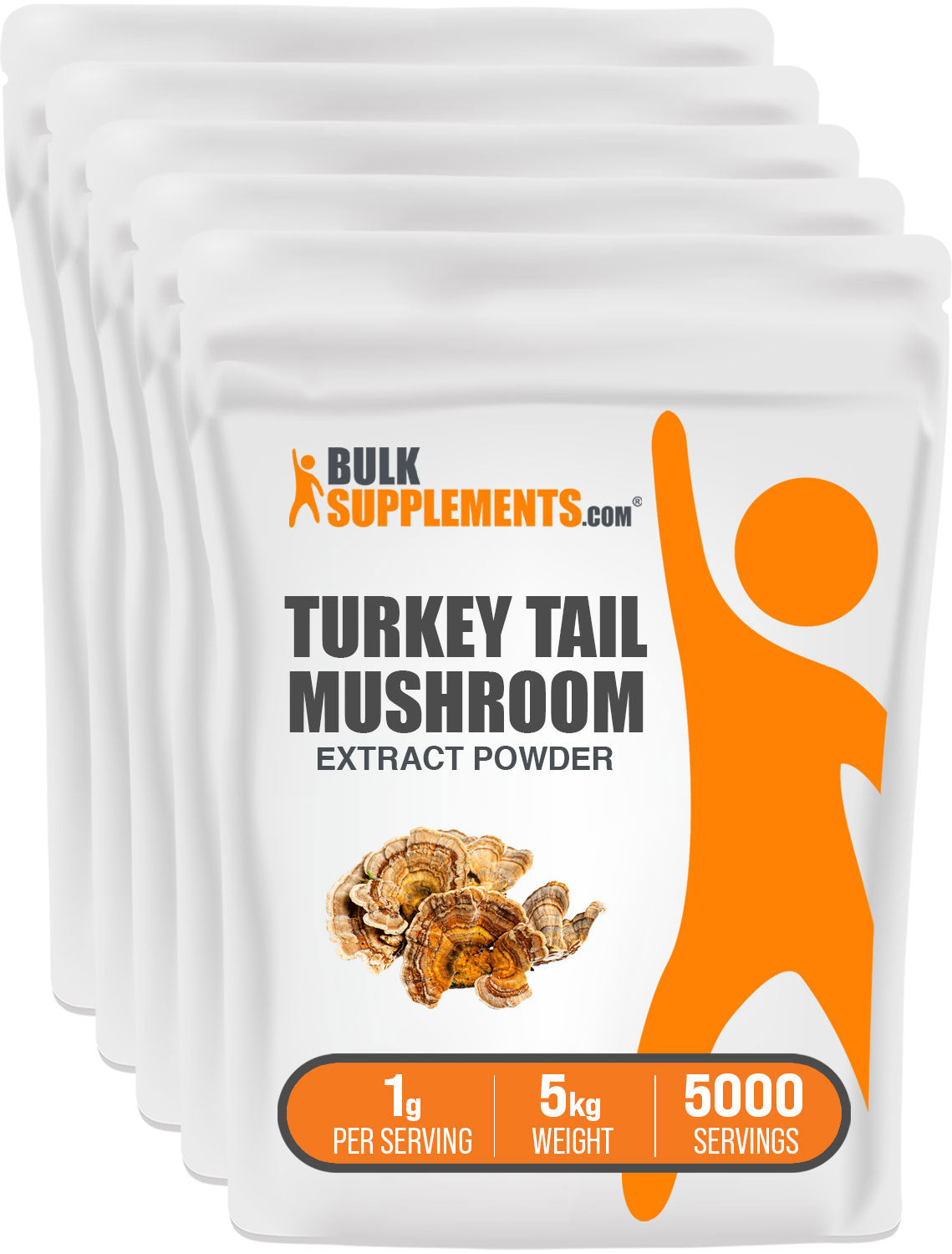 BulkSupplements.com Turkey Tail Mushroom Extract Powder 5kg bag image