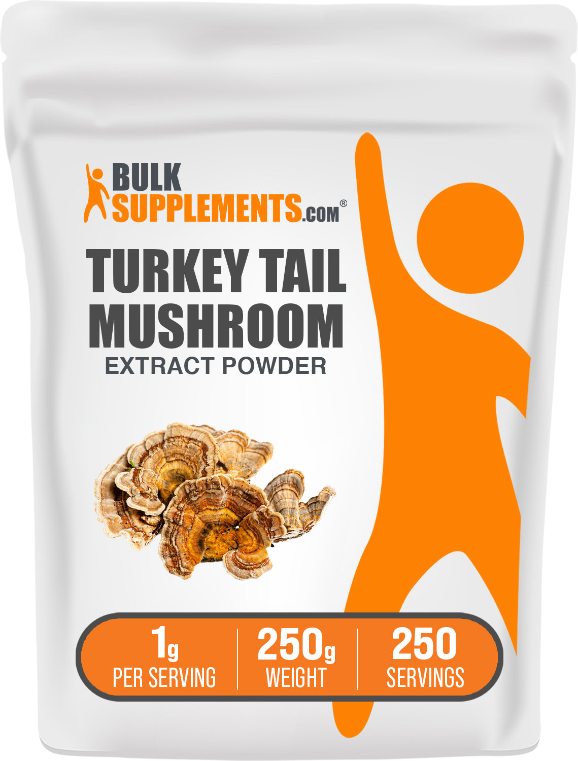 BulkSupplements.com Turkey Tail Mushroom Extract Powder 250g bag image